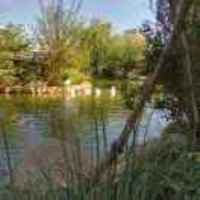 F448d55f1c3a04aaef26b02661dda8fb82ece9f2