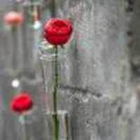 5cad99f9d32062c5c5a70d53d826df93cb1fc067