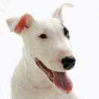 F56568cbd8f1ece1a9b205aeda1a3065383c20c8