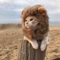 2b5d9b8144c0f8de03d20b40d4e5da757c569674