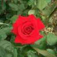 576fb5f167d983014579714cdb10b2c32ed9ed96