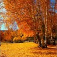 2fa117e363a624ebd371c20c307c1928ee01756a