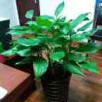 9ebe3052682ad5c7eefbcf350afc371bf5701d5e