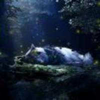 965c73428e9e0bec3f6b058a00ccfc0a31bc24ca