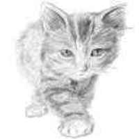 Ce9bf00414489fe30ea88a732965564871173e6c