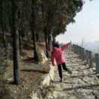 4a7b908edcdd51fd0a138bb9c43caf86cba03bd9