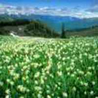 C3aed18783706d30d5d35a004be414cb99e30484