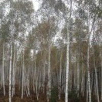 4bc1b66337b03827fd17e58e2cf7dd66a600c5cf