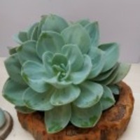 562eda1673404d88b6337a0cdd7b4e5ffe7c8830