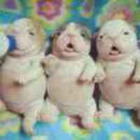 D18e6f16d5e207821be10670291ace3c13316d07