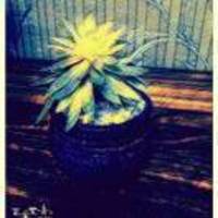 9e5c23460ce1abc672982a557cca328203af8f05