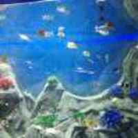 098273898b03ce4e0886ed2975ecd82951525b62