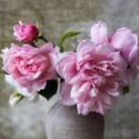 497b36ee7b5f89e3016585b8966ffc551e054546