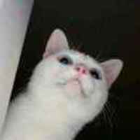 406696143188d2857e6162a954367b4fda7fccbb