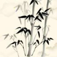 3b5e4f8c8853e1647872ae5aa8abeef3241f69c7