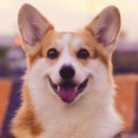 3a2f780d85f8207d795e19ee7ba18301cc6021a9