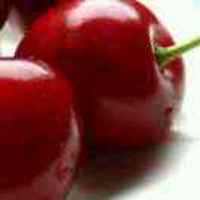 5f68952c6fb5f6e90c9201379d4bf3891ab935cb