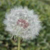 Ec99d404e67b0ea5b013f1a7a6a0a7e608c46d76