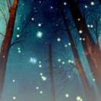 03682c62553325f46a8ffdb89ef3335eec79628b