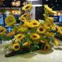 098fb38e3e195411d572c20fef0ae9be1dd606e7