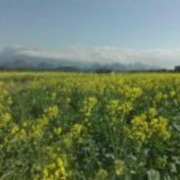 7021a0f5e7d764b03064ac4667774cd40654de01