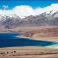 1aa00a732b59c4e00cd773cb0fbb16fbf756e591