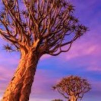 Cb2fda3ef3d96d39dc0ac1d9b36765a81ef794cf