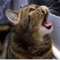 676dadade2ca17a4fe88d98594da1309e9fc4778