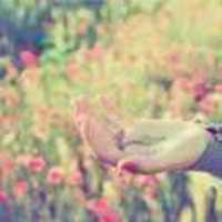 A5ca80f5910bc72de0f9b6a5212c0870ea3cca31