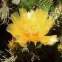 6a2182e4338badc23eeaa5cd232195eb32a38e51