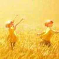 77643b0b2d406935a3df2a81892758fa3837ac83