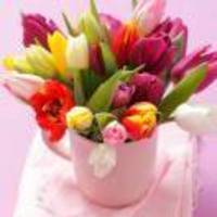 8596535860edf01d277b49e8fdb037281c893322