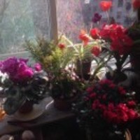 136f9313a1f9c7fc70fb120e9f072e03de09623a