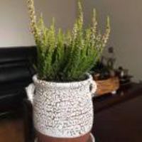 6539b5979e70fba2754467773fcea81612c12544