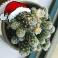 2fd01a8f7e98b811e5723e6fc228329f031aec0c