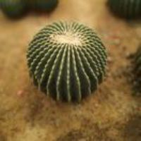 Edf2a8a36eea99e230a82617100aaa787a5c39e8