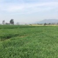 21396f69c8fd9619b7307f30b2bb884e8fbf645f