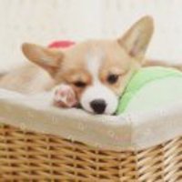 C92bad6f75c2fe552f97245e07cf09fc5f0adbb0