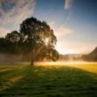 7d1be62f1f29902b96685fed55e713449319a3eb