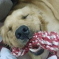 0a953592ca59cdf657b9233e51ebc69d3b0262ba