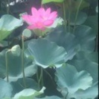 2cd443bda40a4284283e0f2e5832b27e9b47d87d