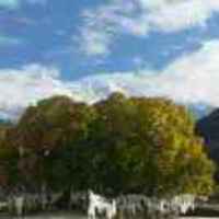 2e01496576c09f5259c8bce3c91c1ad5e54cd6bc