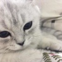 Fb6fa8517ecc2238fabb6267f1b747f93cab1f41