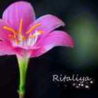 Fb04ab981197b93a335944401377182320ee4439