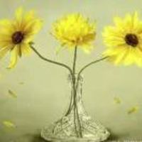 3fd419d1ed8afd50b03766007fbad0fcdbe09ab8