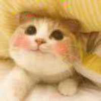 F0b8cb281636fd75690a6a55c8206e495a9cbc14