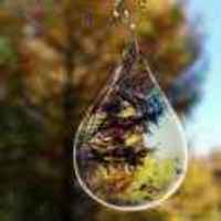 00d32e95aa69320e70b9832ff98380b9dd4b5ed4