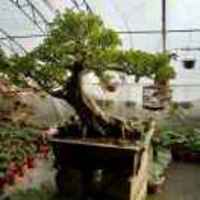 302a28fc4a1f38e61b03b3a85169f488b25bba47