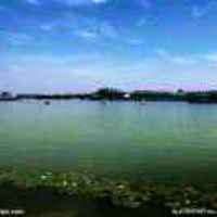 C17eb8a9630070a566609337b612221f45b4784b