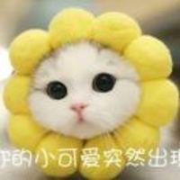 Fe2d4a29d2a86403a39b9b024cb1c376049fe0d2